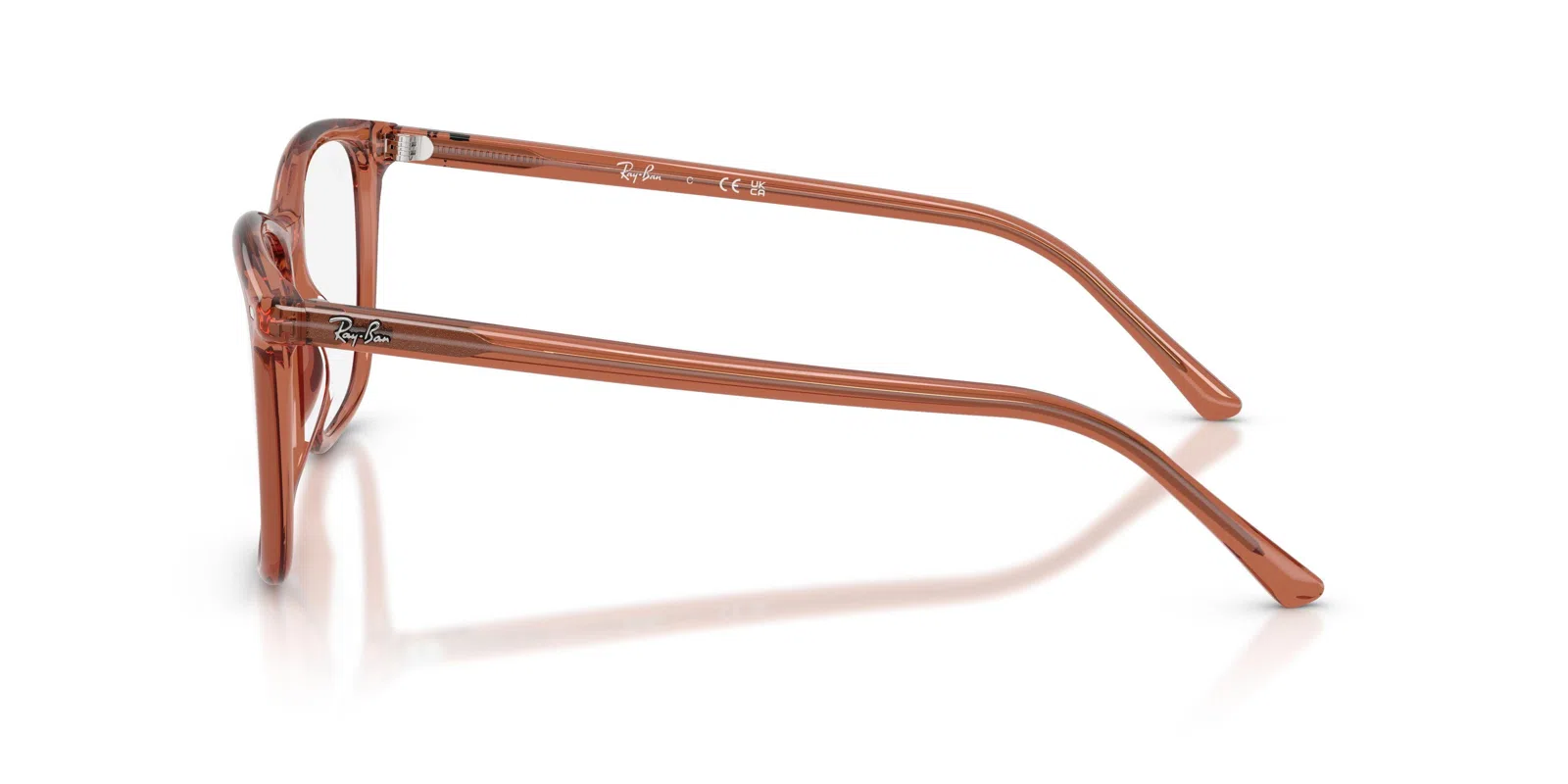 Ray-Ban 5455 Eyeglasses - view 19
